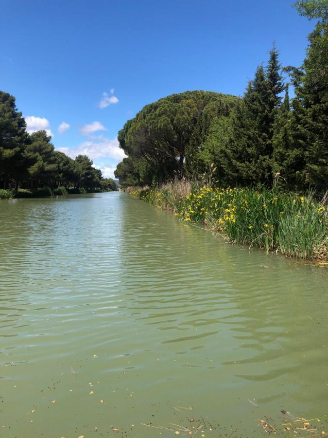 Villa Pintourina Sallèles-dʼAude Exteriér fotografie